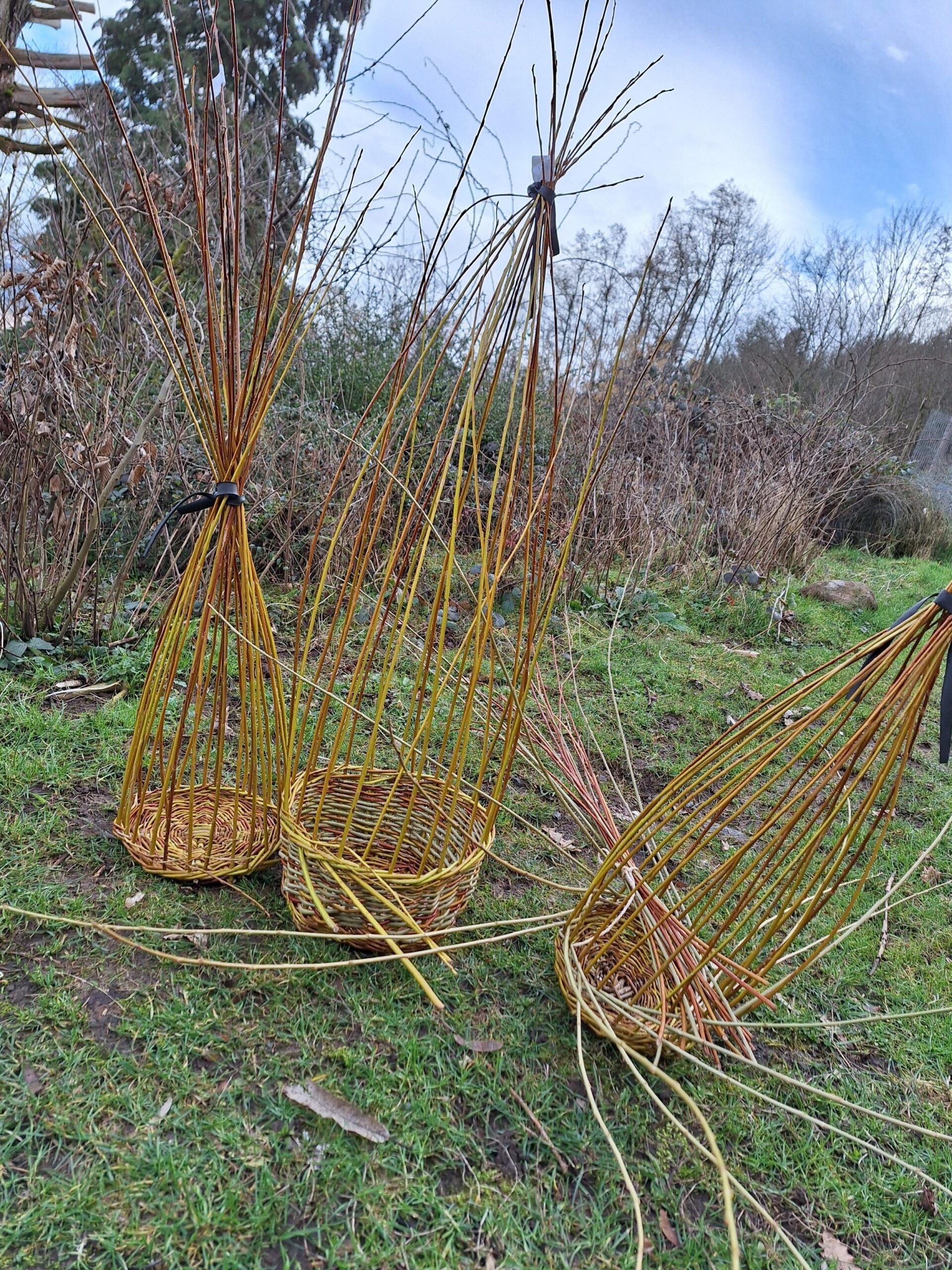 atelier vannerie sur terre